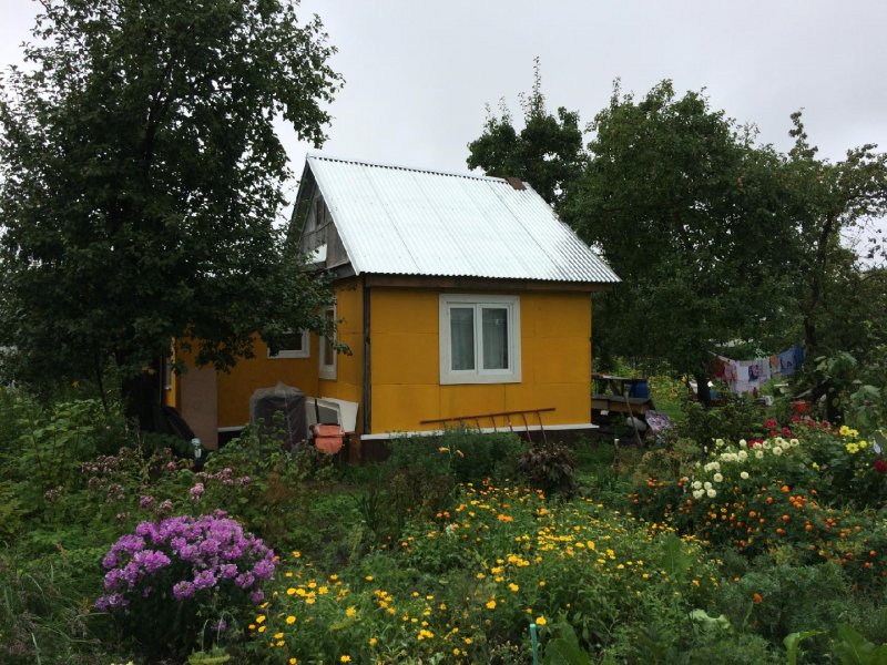 Старый дачный участок