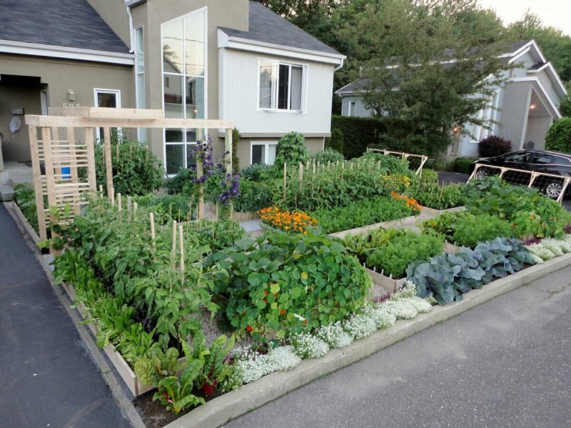 The Edible Garden огород в палисаднике