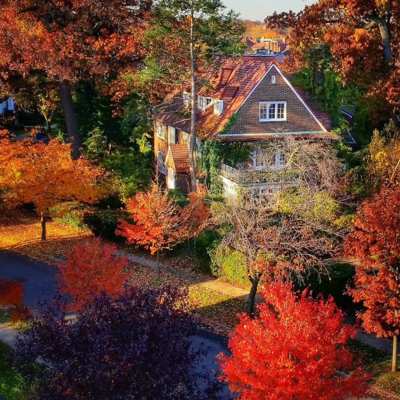 Осень домик