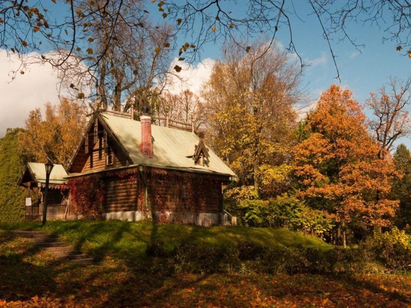 Домик в лесу