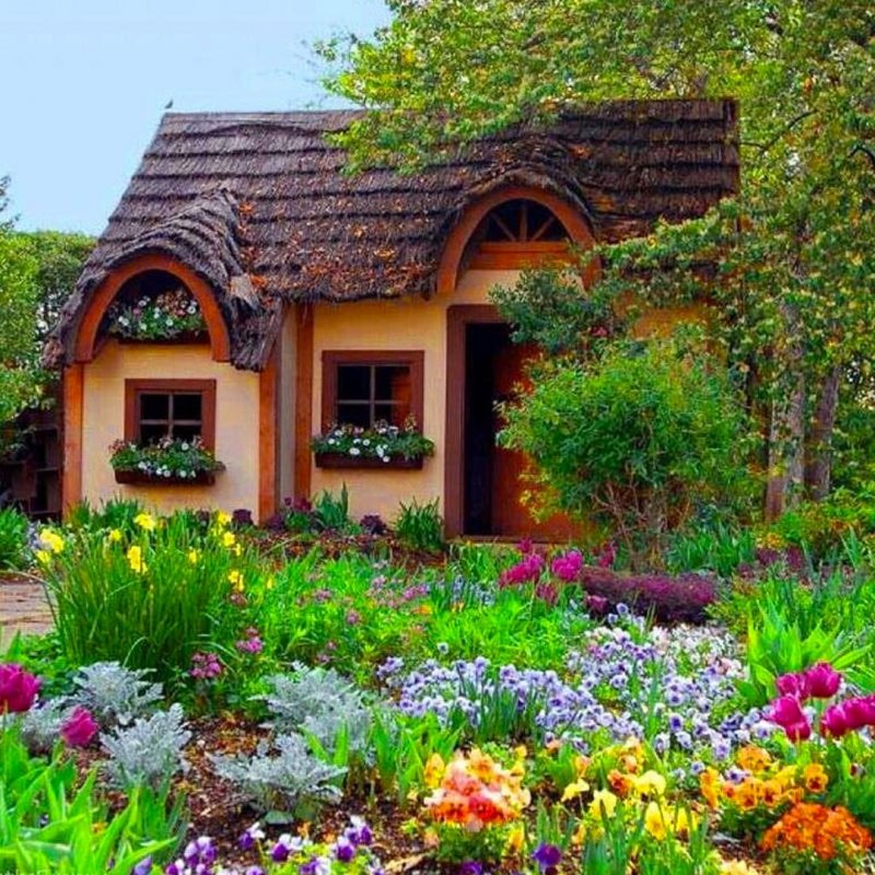 Дачные домики tiny House