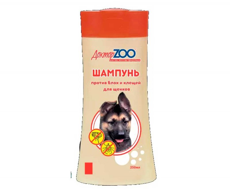 Дихлофос рейд от блох