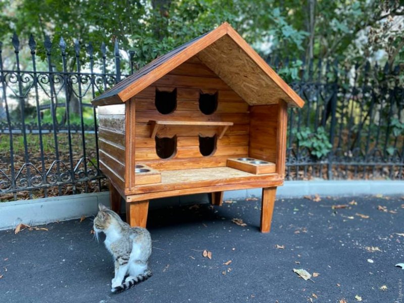 Уличный домик для кошки