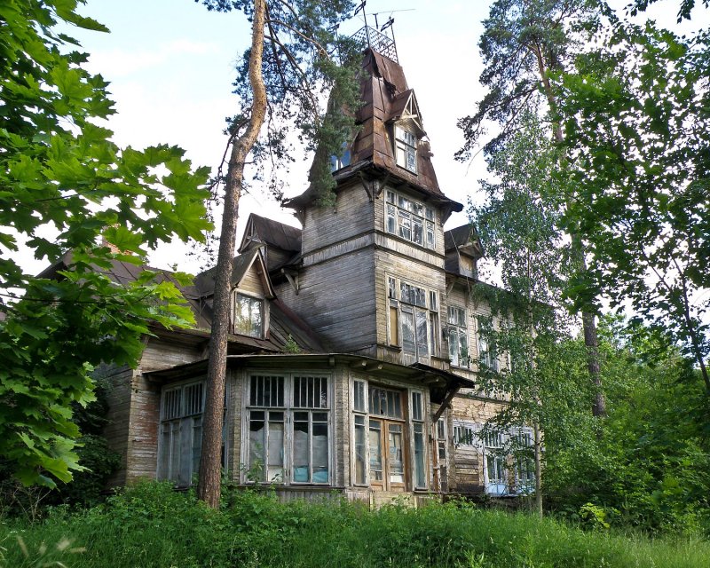Кривдина дача в Сестрорецке