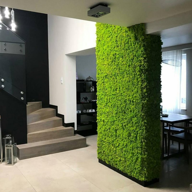 Green Sun фитостены