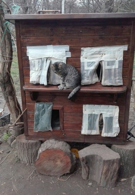 Зимние домики для бездомных кошек