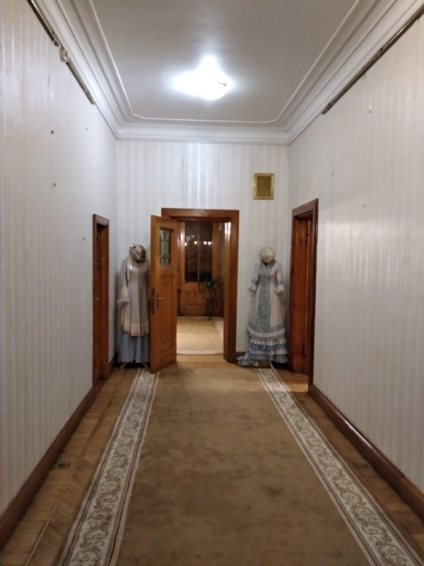 Особняк Носова фото внутри