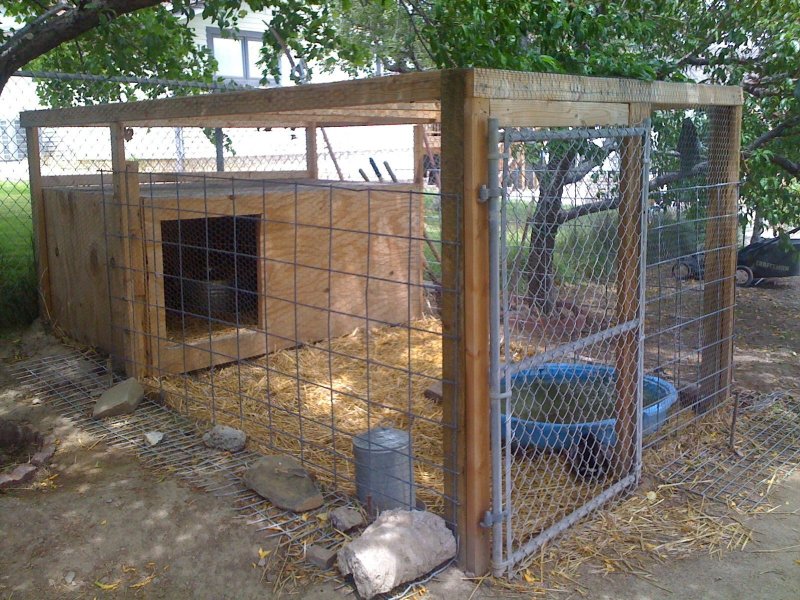 Курятник гусятник