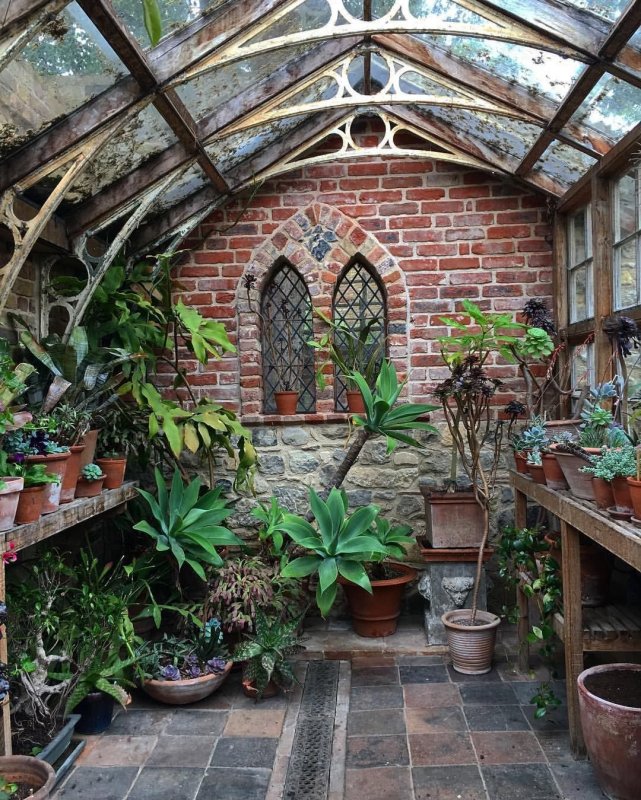 Оранжерея / the Greenhouse