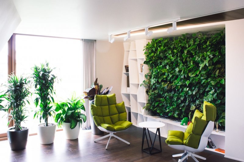 Green Sky фитостены