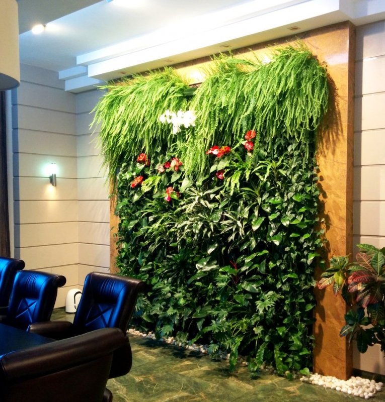 Green Sun фитостены