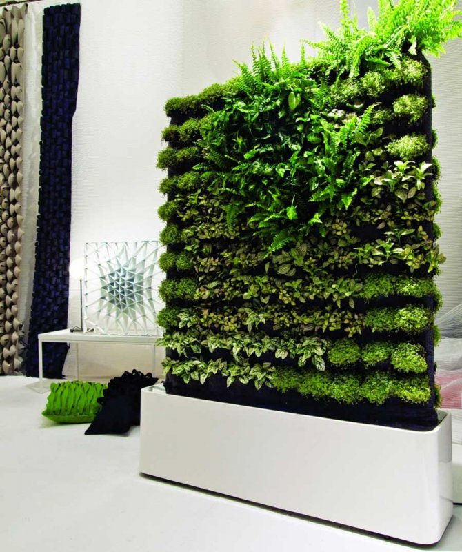 Green Sky фитостены