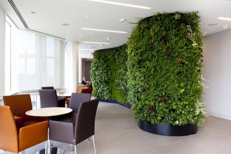 Green Sun фитостены