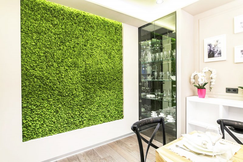 Green Sky фитостены