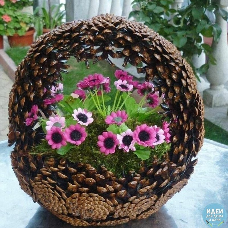 Корзина из сосновых шишек