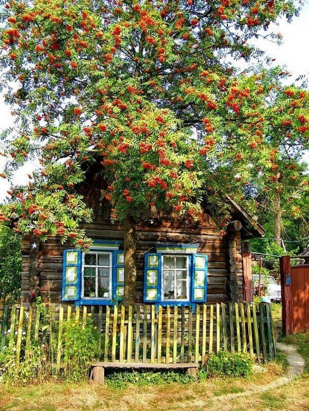 Есенин рябина
