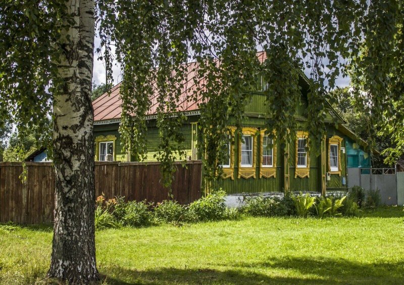 Домик с березой