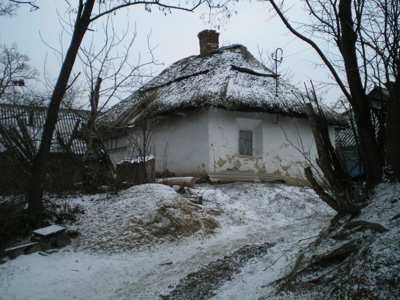 Турлучный дом