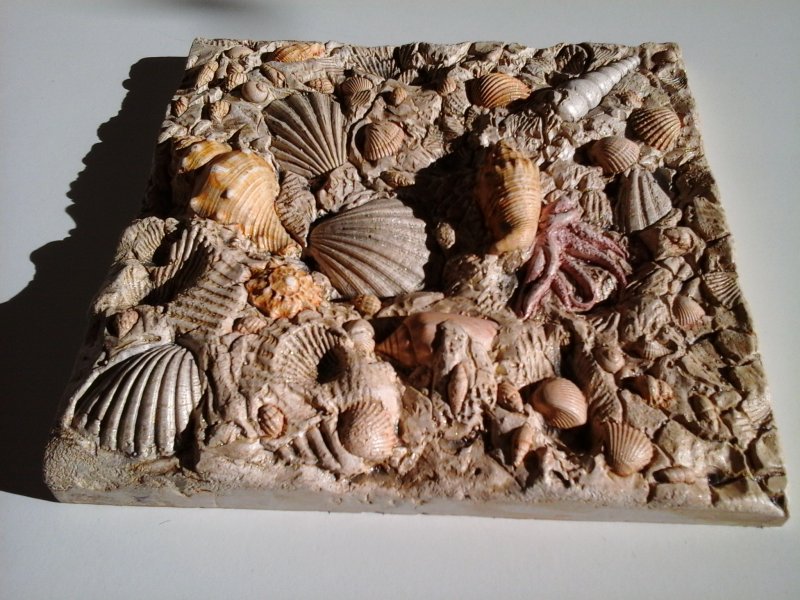 Раковина из морского камня