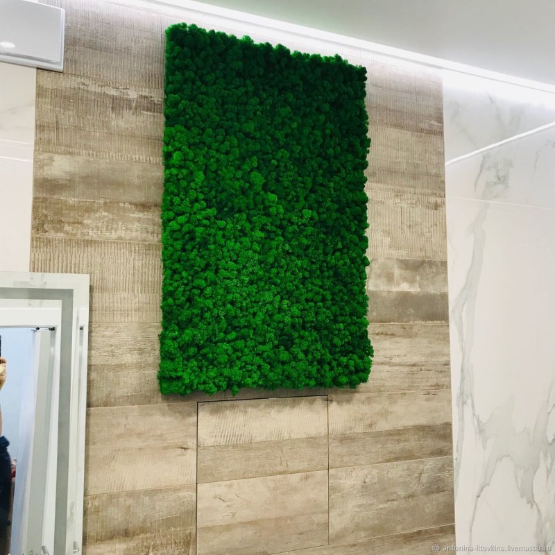 Панель Nieuwkoop из стабилизированного мха "Moss Painting Superline % Ball - % plattmoss"