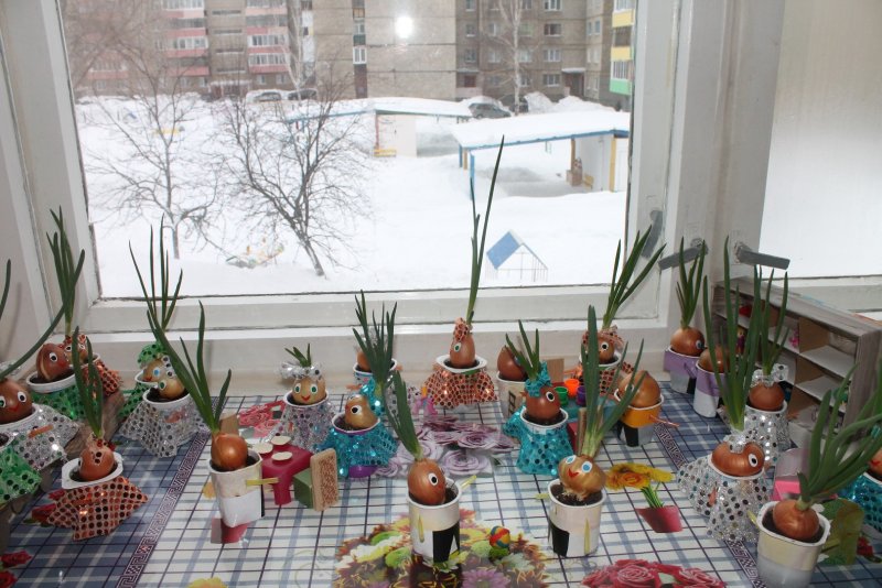 Огород на окне в ДОУ