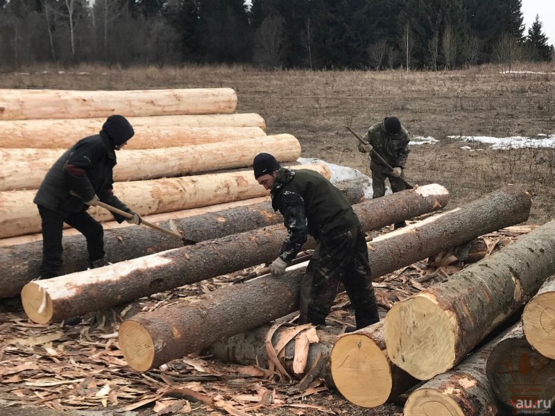 Ошкуривание бревен