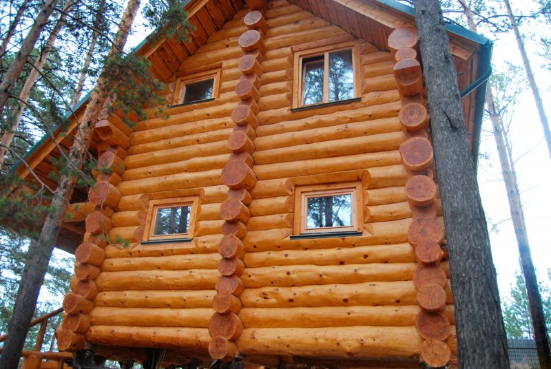 Сибирский кедр сруб