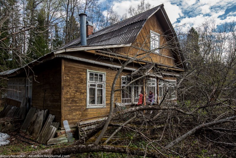 Домик на даче старый