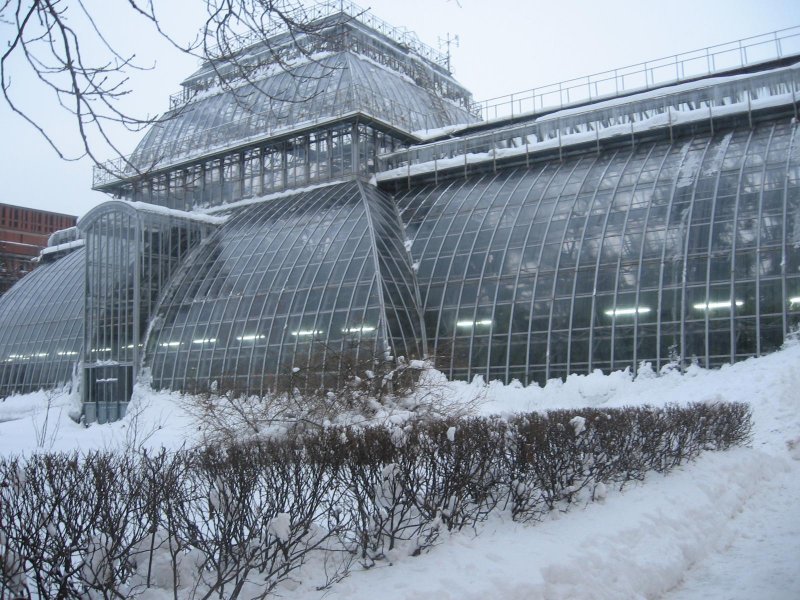Оранжерея в зимнее время