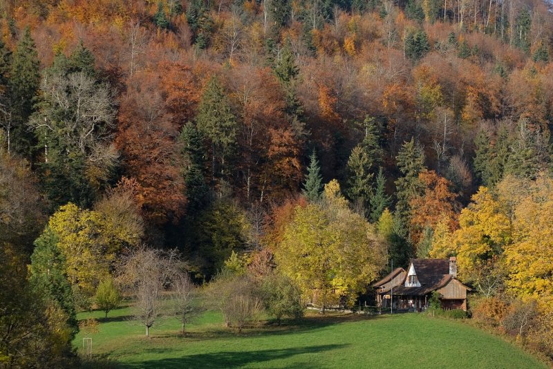 Осень домик в лесу