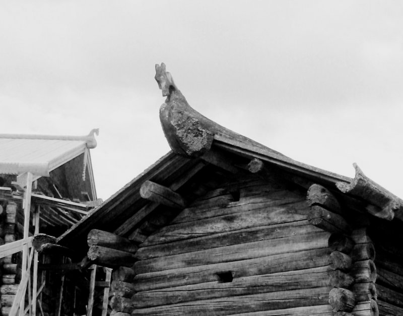 Самцово слеговая кровля