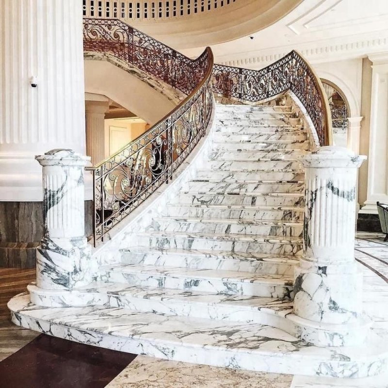 Мраморная лисица