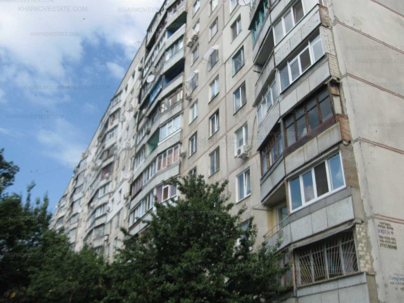 Тип дома чешка фото