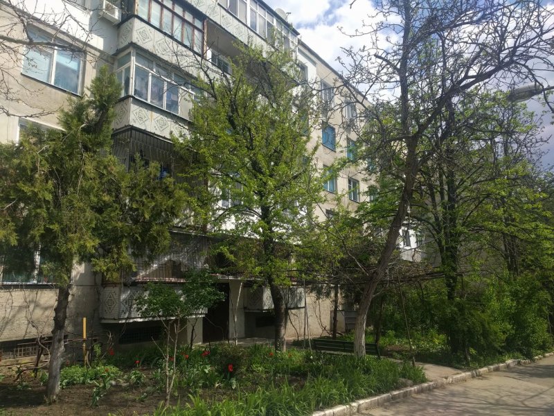 Чешки Рышкановка