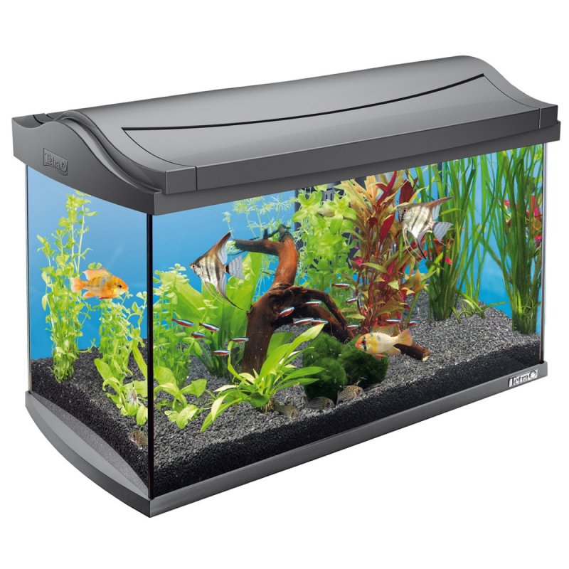 Tetra AQUAART аквариум 60л