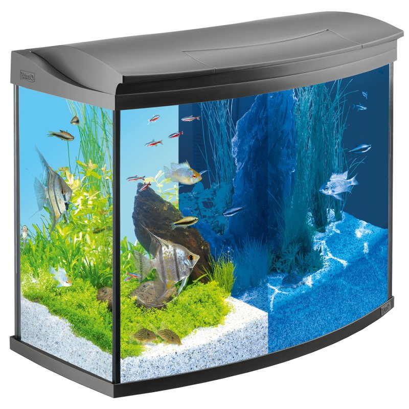 Акватеррариум Tetra Repto AQUASET 80л, 76x38x37см