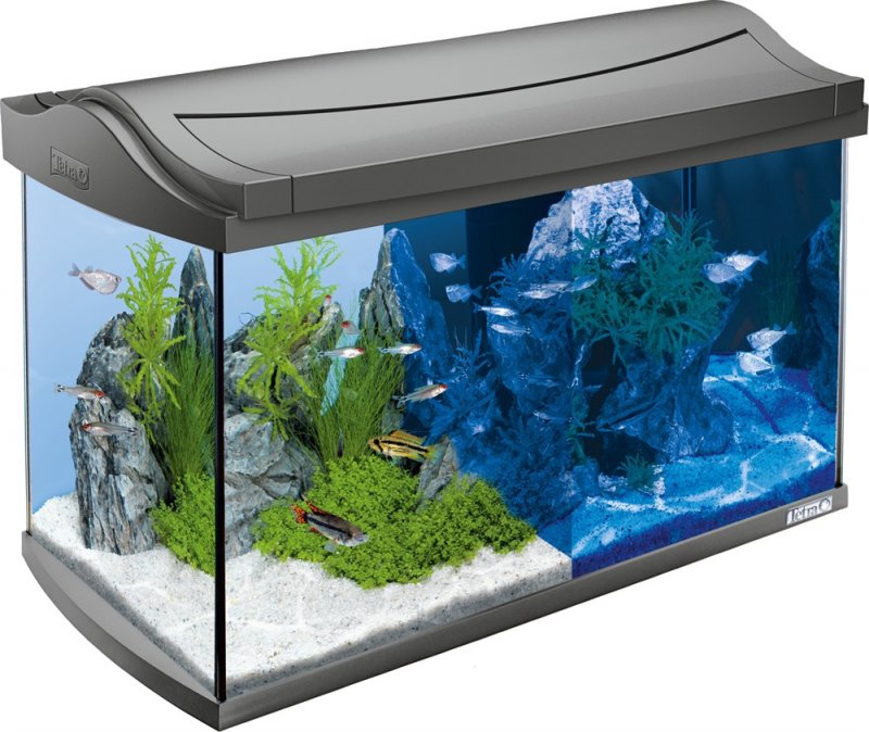 Tetra AQUAART аквариум 60л