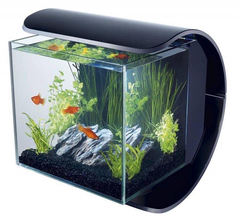 Аквариум BIORB Flow 30 led