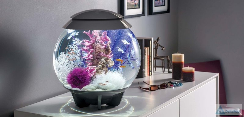 Аквариум Tetra (тетра) Starter line led 80 л