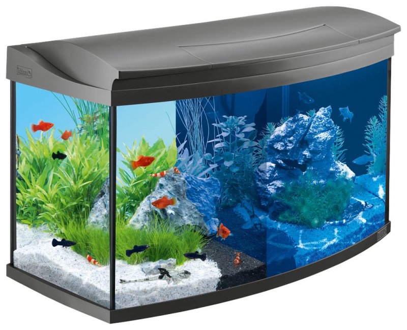 Аквариумный набор 100 л Tetra AQUAART led Evolution line