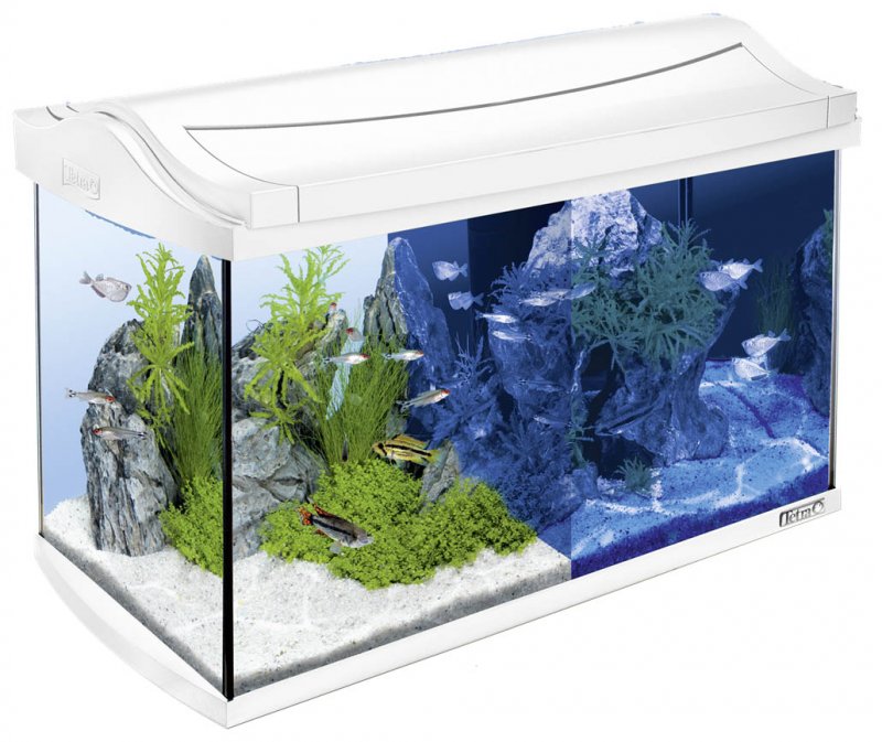 Tetra AQUAART led Tropical аквариум белый 60 л