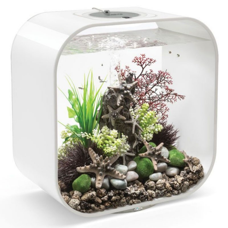 Аквариум BIORB Cube 60 Black