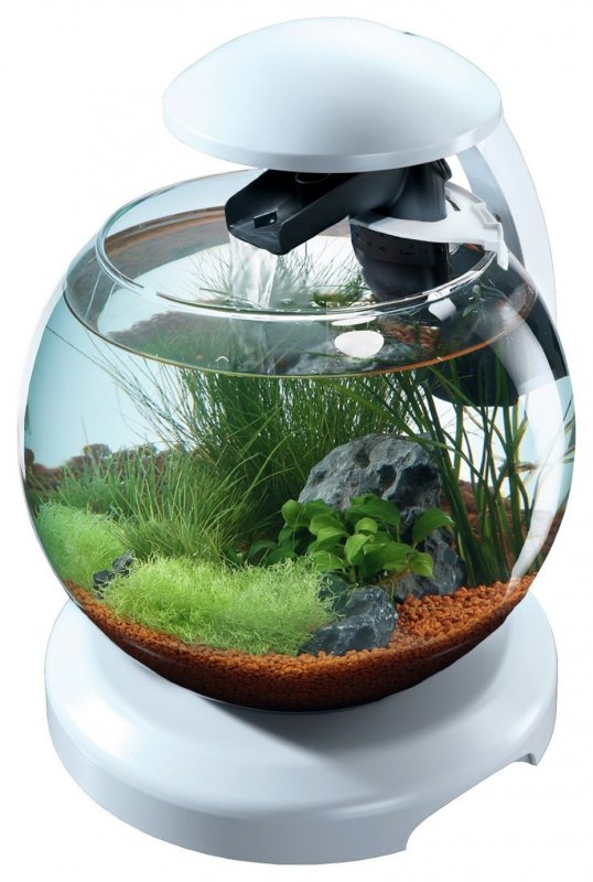 Juwel Vision 450