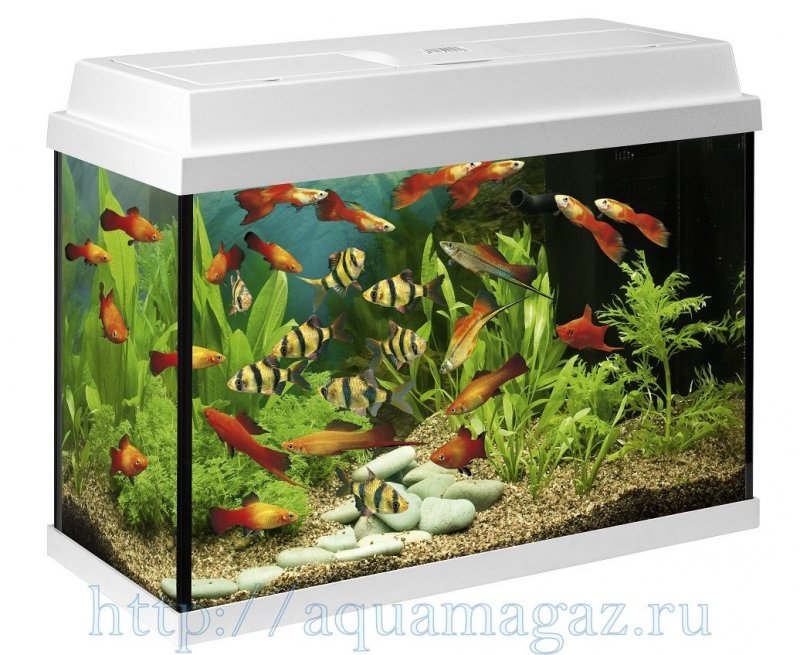 Аквариум Juwel 180