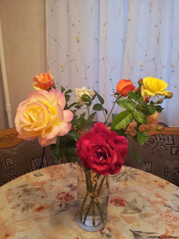 Розы в вазе дома