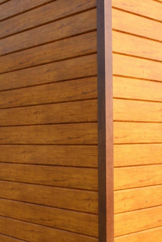 Сайдинг ЭКОБРУС Elite Golden Wood