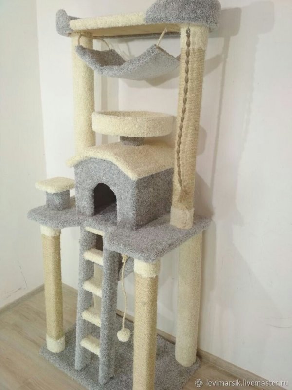 Кошкин дом кошка