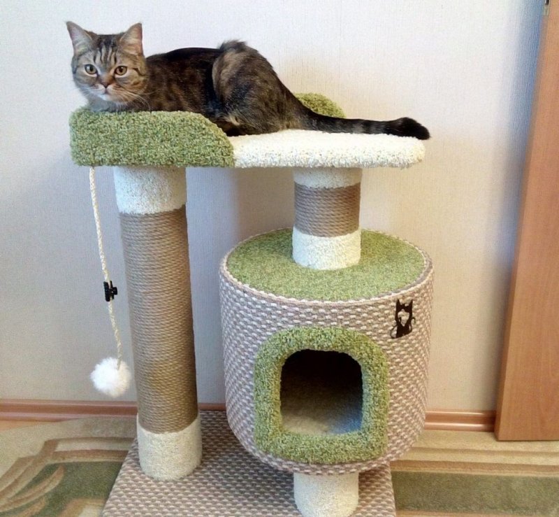 Кошкин дом комплексы для кошек