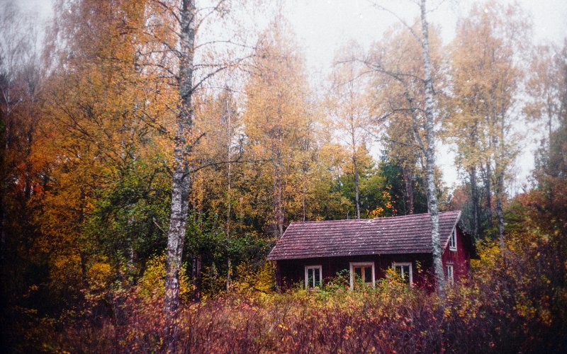 Избушка в лесу осенью