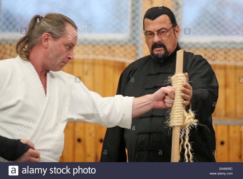 Ильхам Алиев Сигал Стивен